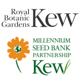 Kew BotanikBahçelerimmillenium tohum banka logosu
